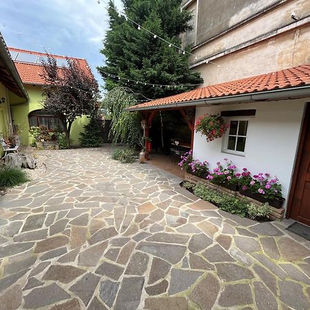 Penzion Primase Dolni Vestonice Kültér fotó