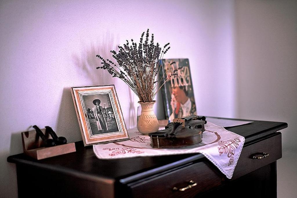 Penzion Primase Dolni Vestonice Szoba fotó